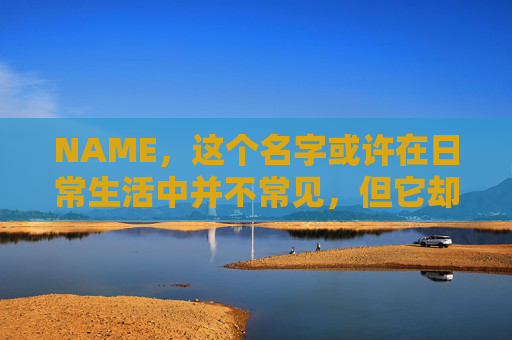NAME，这个名字或许在日常生活中并不常见，但它却在某些领域里扮演着重要的角色。今天，让我们一起来探索这个名字背后的故事和意义